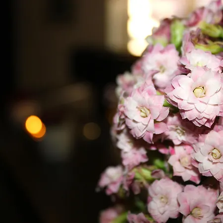 Hotel Restaurant Am Kring 3*