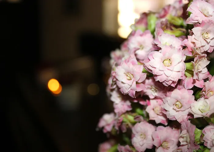 Hotel Restaurant Am Kring 3*